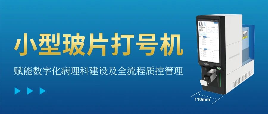 首页 - BB电子官方网站