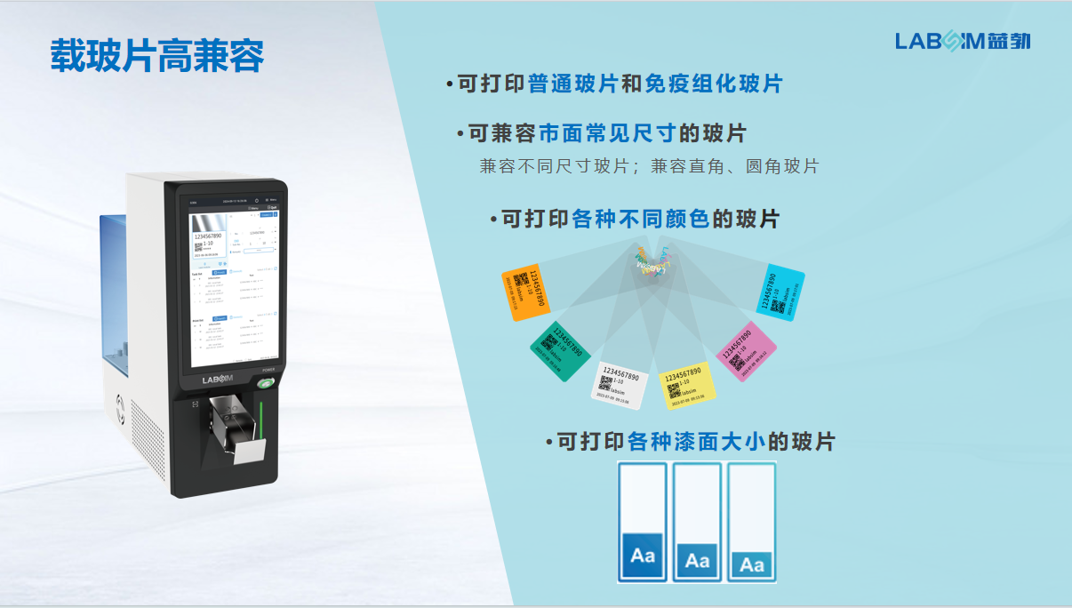 首页 - BB电子官方网站